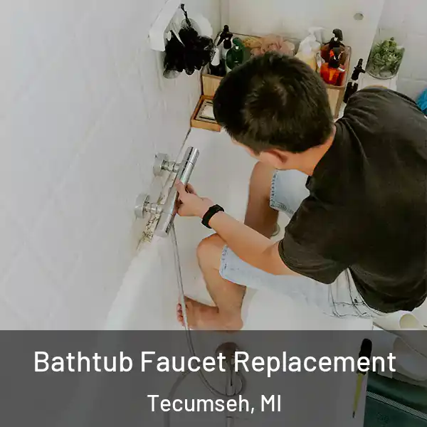  Bathtub Faucet Replacement Tecumseh, MI