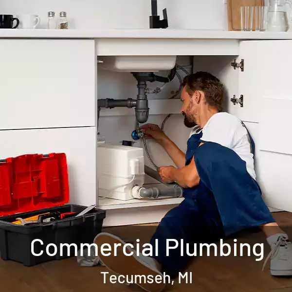  Commercial Plumbing Tecumseh, MI
