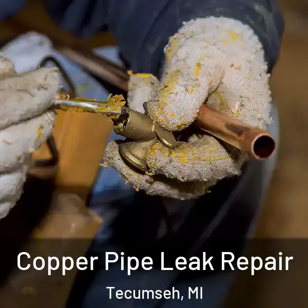  Copper Pipe Leak Repair Tecumseh, MI