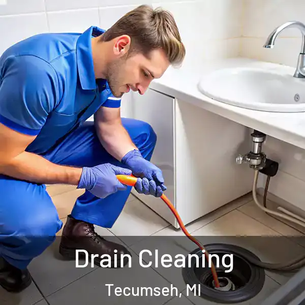  Drain Cleaning Tecumseh, MI