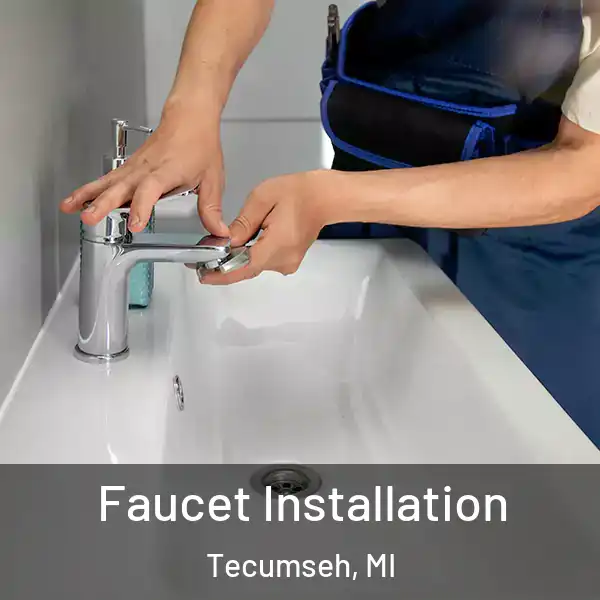  Faucet Installation Tecumseh, MI