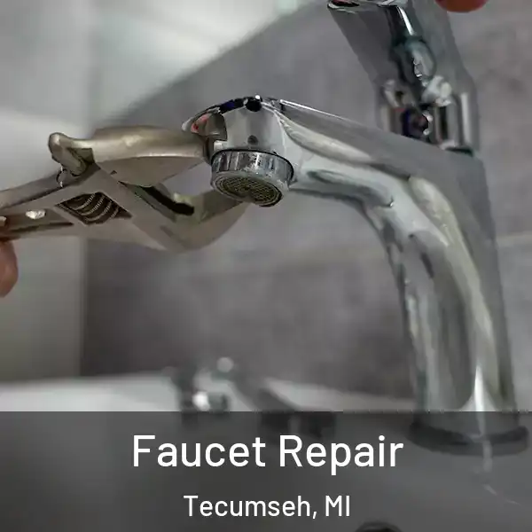  Faucet Repair Tecumseh, MI