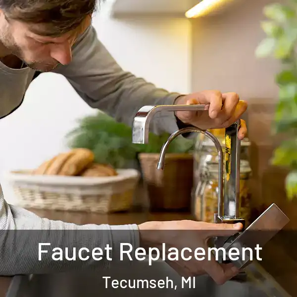  Faucet Replacement Tecumseh, MI