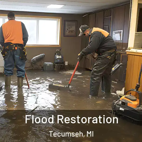  Flood Restoration Tecumseh, MI