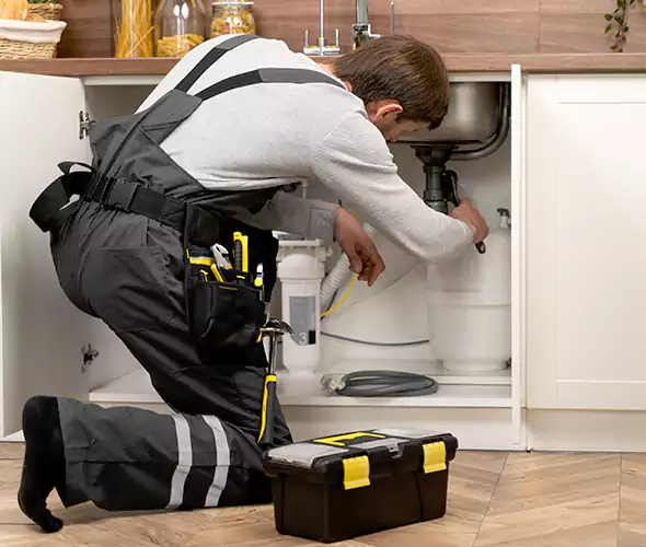 Certified Plumbers for Insinkerator Installation in Tecumseh