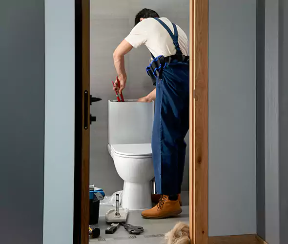 Professional Plumbers for Toilet Bowl Replacement in Tecumseh, MI: Schedule Affordable Toilet Replacement Services With Us