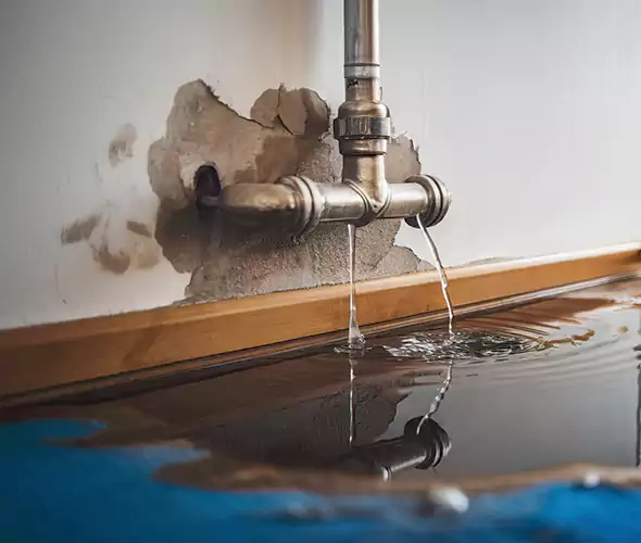Professional Water Damage Restoration Experts in Tecumseh, MI — Fast, Reliable & Certified