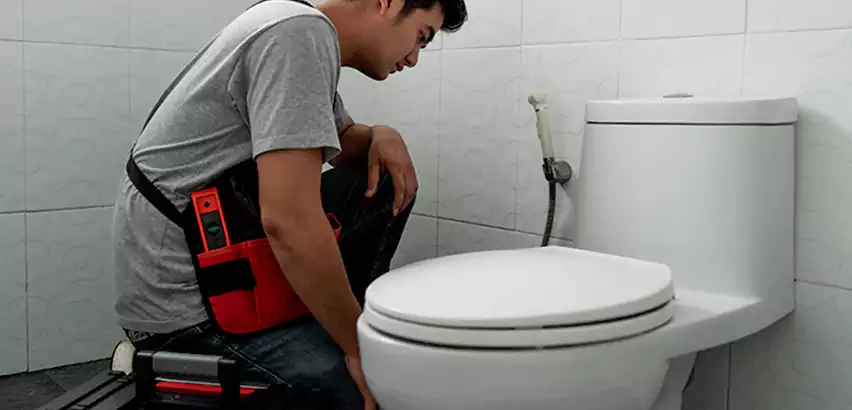 Toilet Repair in Tecumseh