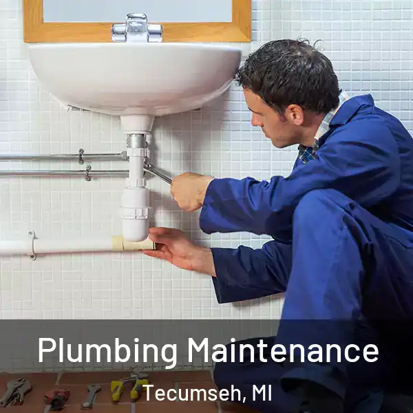  Plumbing Maintenance Tecumseh, MI