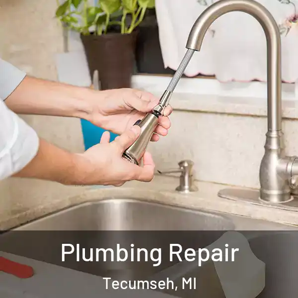  Plumbing Repair Tecumseh, MI