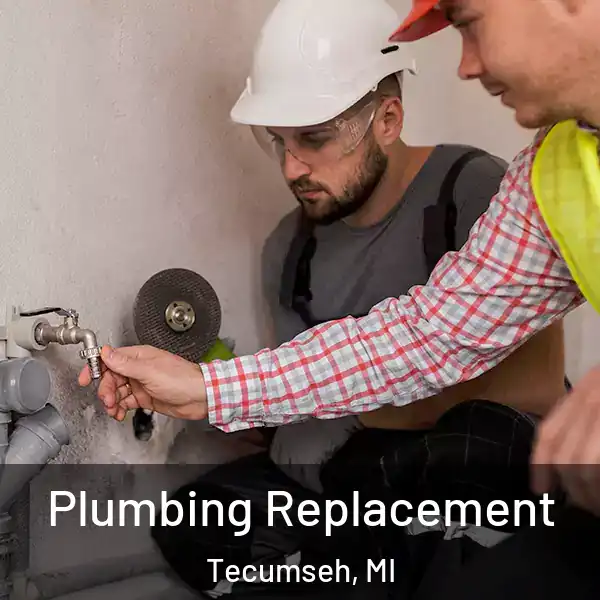  Plumbing Replacement Tecumseh, MI