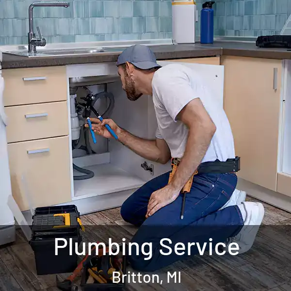  Plumbing Service Britton, MI
