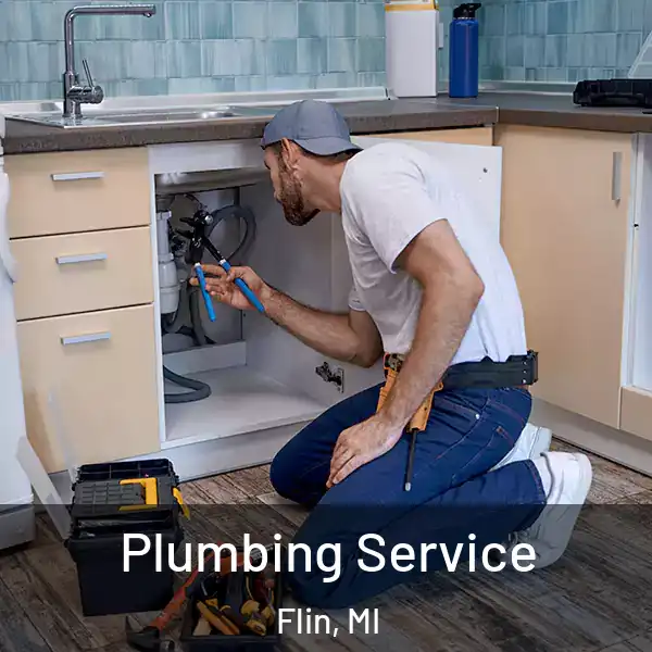  Plumbing Service Flin, MI