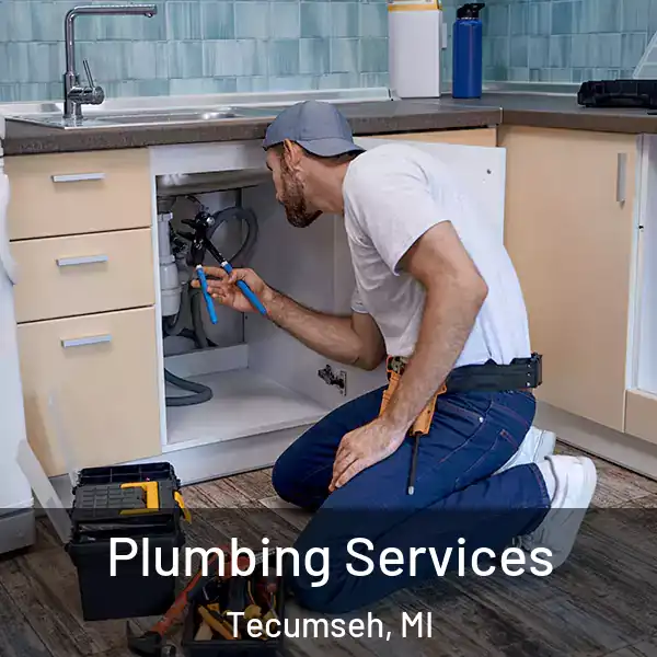  Plumbing Services Tecumseh, MI
