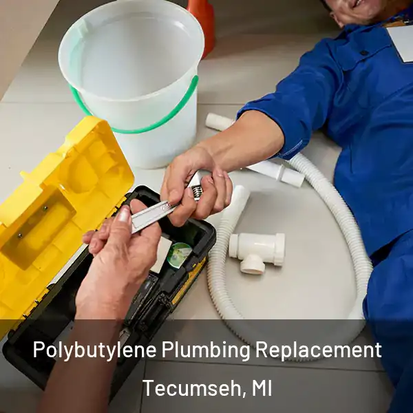  Polybutylene Plumbing Replacement Tecumseh, MI