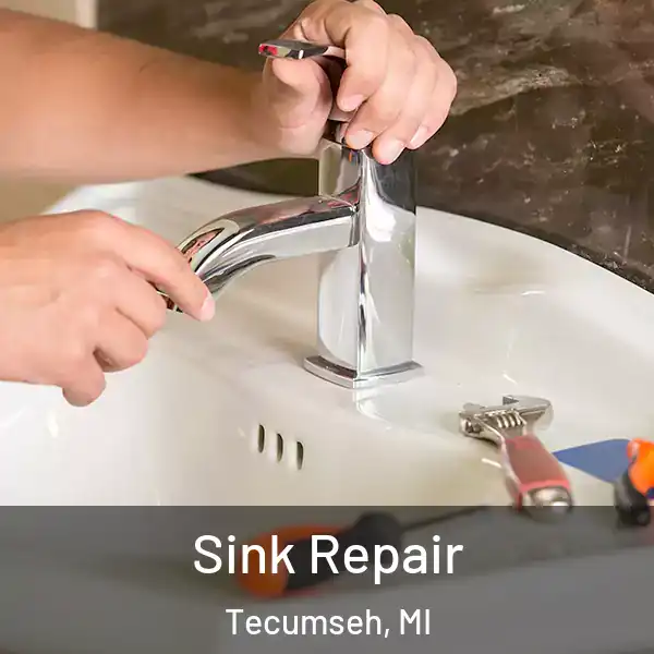  Sink Repair Tecumseh, MI