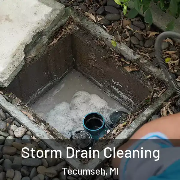  Storm Drain Cleaning Tecumseh, MI