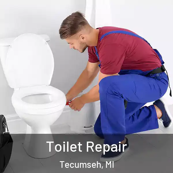  Toilet Repair Tecumseh, MI
