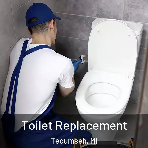  Toilet Replacement Tecumseh, MI