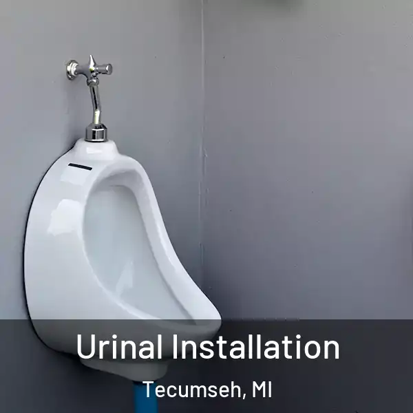 Urinal Installation Tecumseh, MI