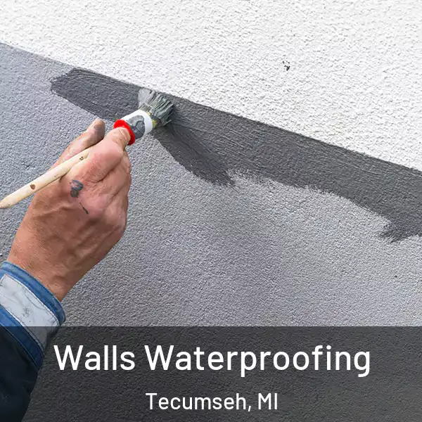  Walls Waterproofing Tecumseh, MI