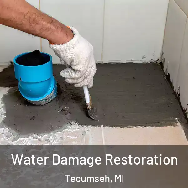  Water Damage Restoration Tecumseh, MI