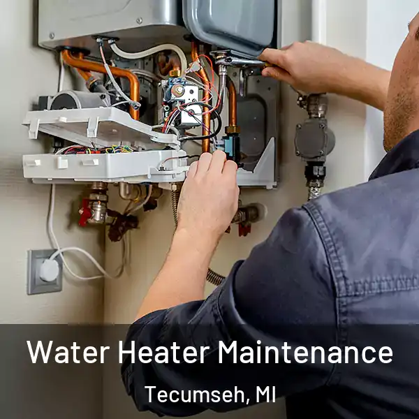  Water Heater Maintenance Tecumseh, MI